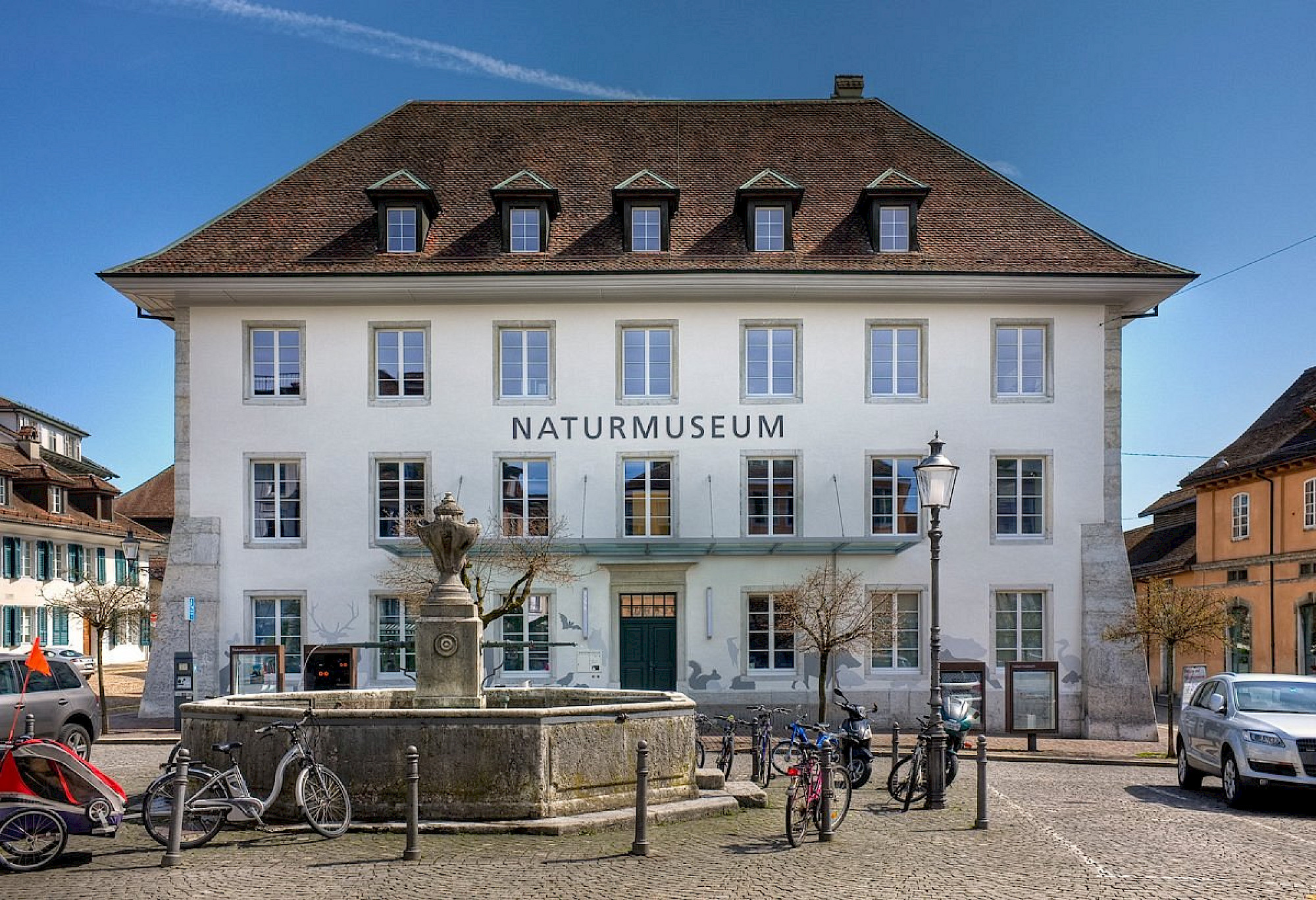 Naturmuseum Solothurn